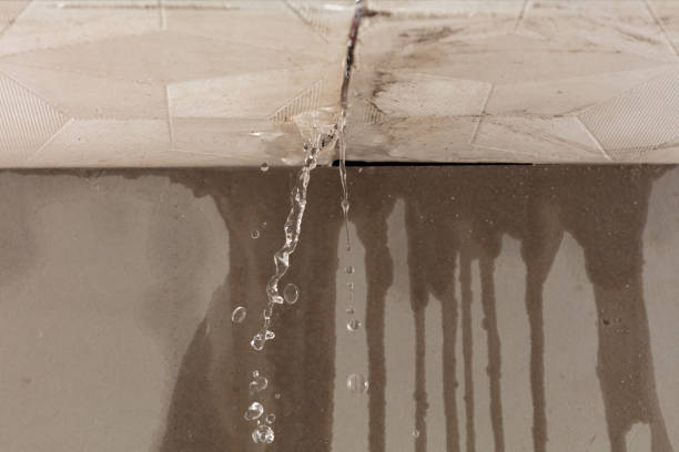 Professional Structural Drying technician working in Marion, WI